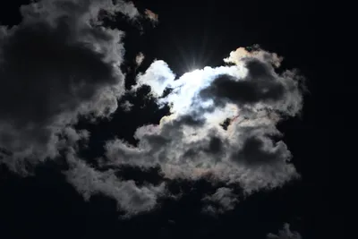 DSC_2278 (Large).JPG